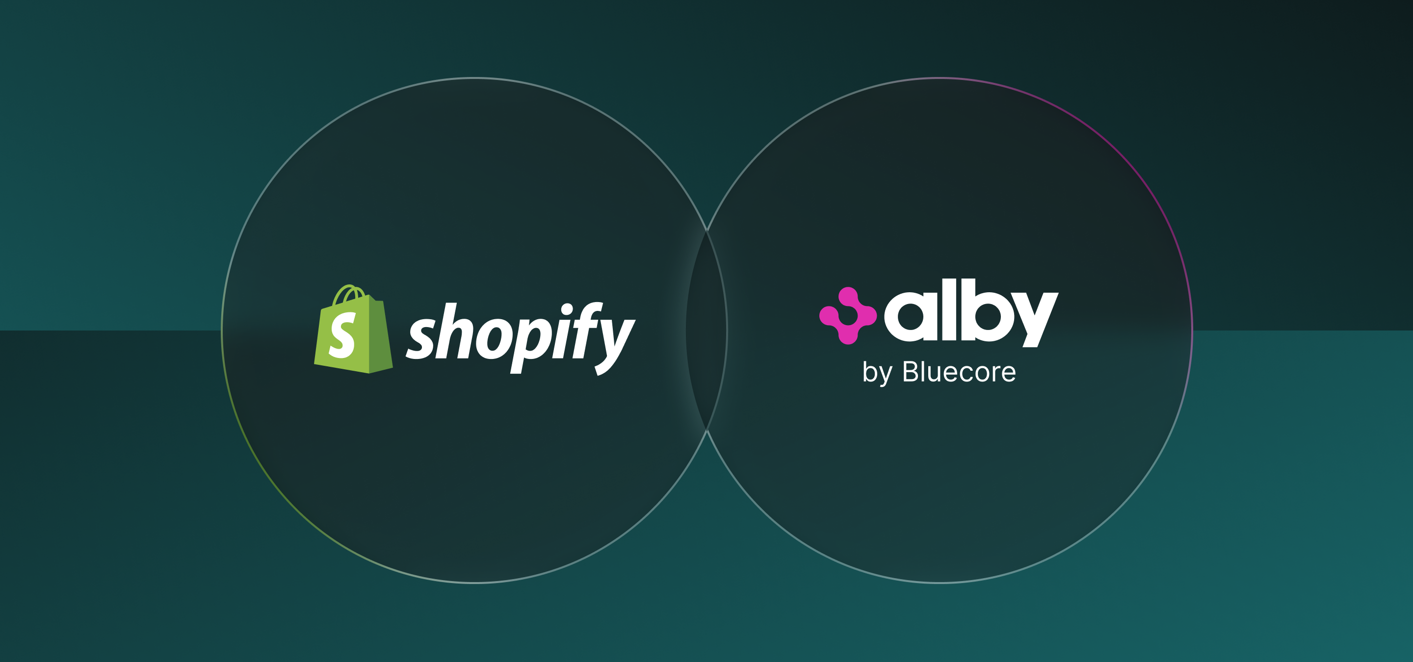 Connect an AI Agent to your shopify store